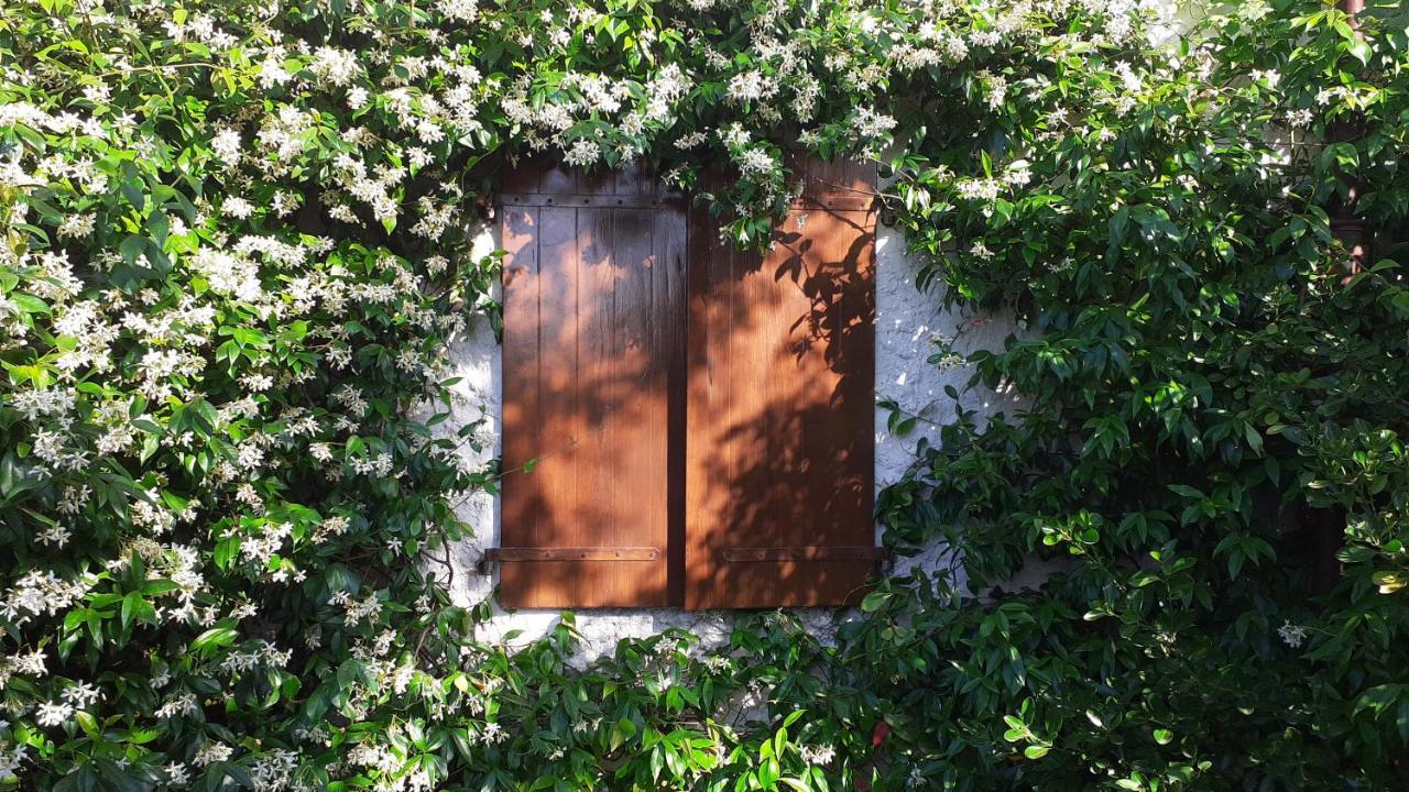Vila Gatti Di Langa Dogliani Exteriér fotografie